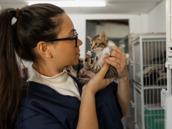 Charity working with animals Charity working with animals
